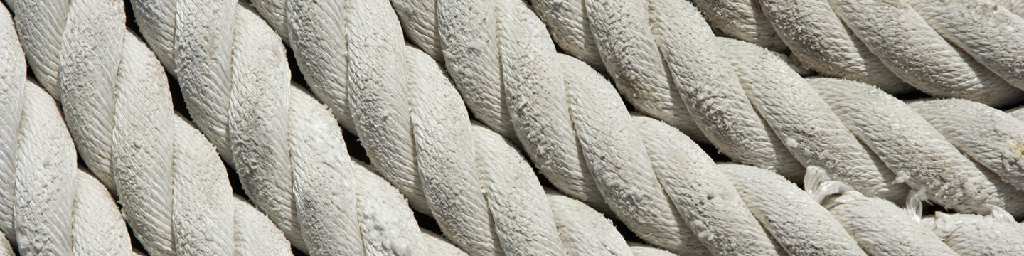 Layer 4.jpg