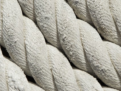 Layer 4.jpg